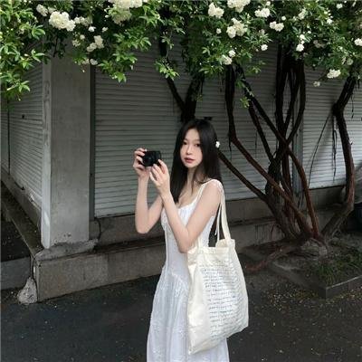 女王鲨